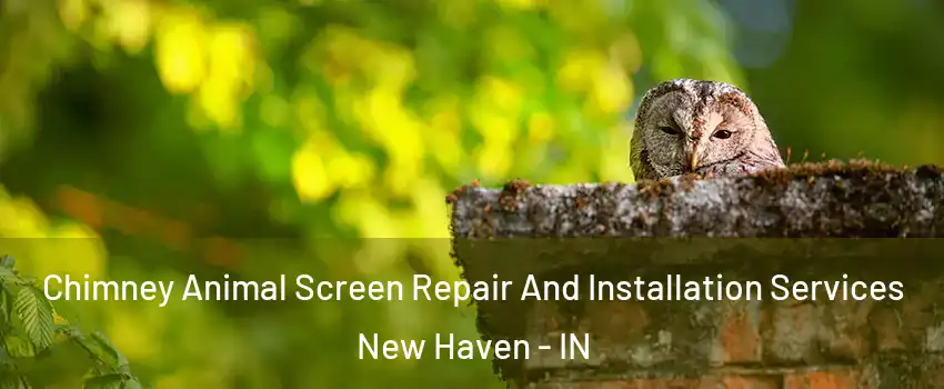  Chimney Animal Screen Repair And Installation Services New Haven - IN