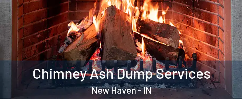  Chimney Ash Dump Services New Haven - IN