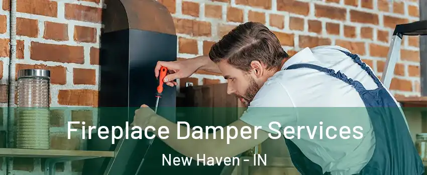  Fireplace Damper Services New Haven - IN