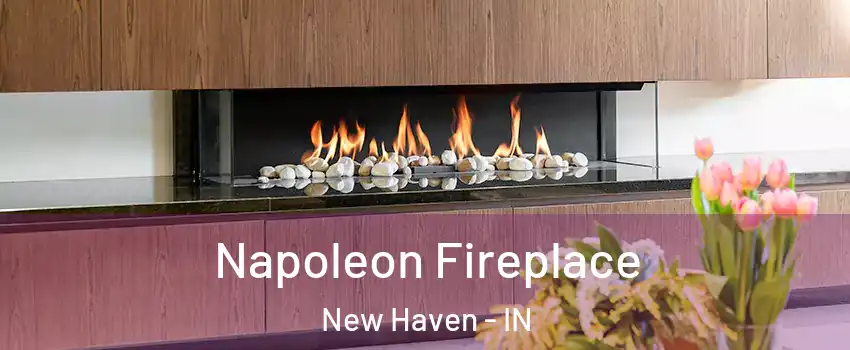  Napoleon Fireplace New Haven - IN